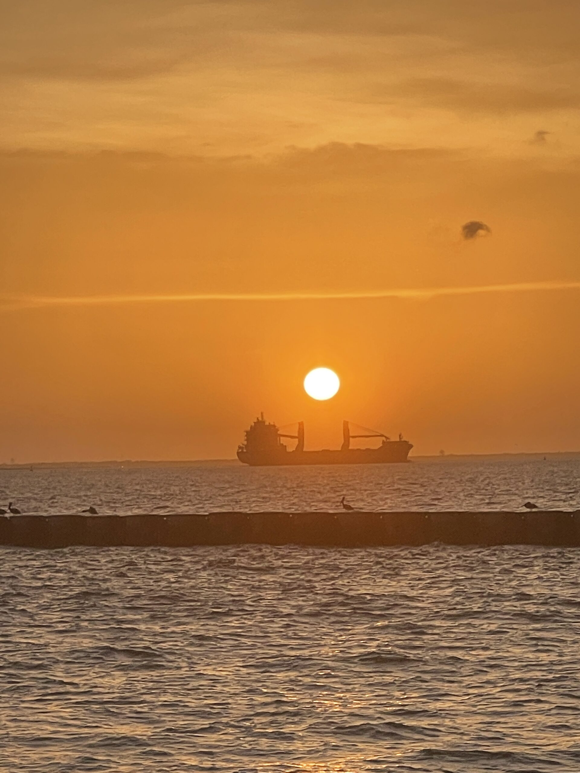 Texas Road Trip with Kids, Part 2: Sand, Ferries & Keanu Fantasies