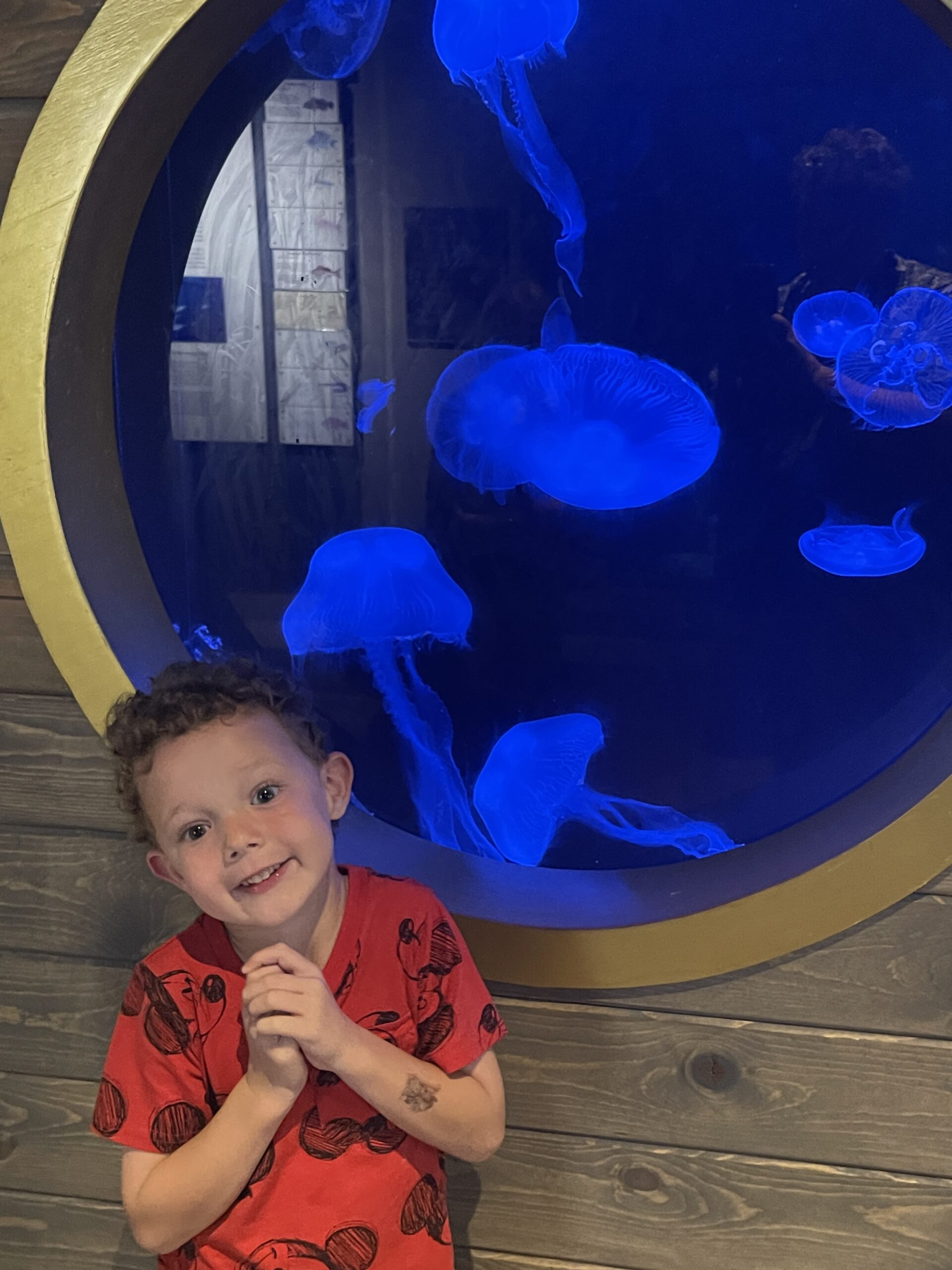 Texas Gulf Coast with Kids, Part 3: Sea Center Texas Adventures